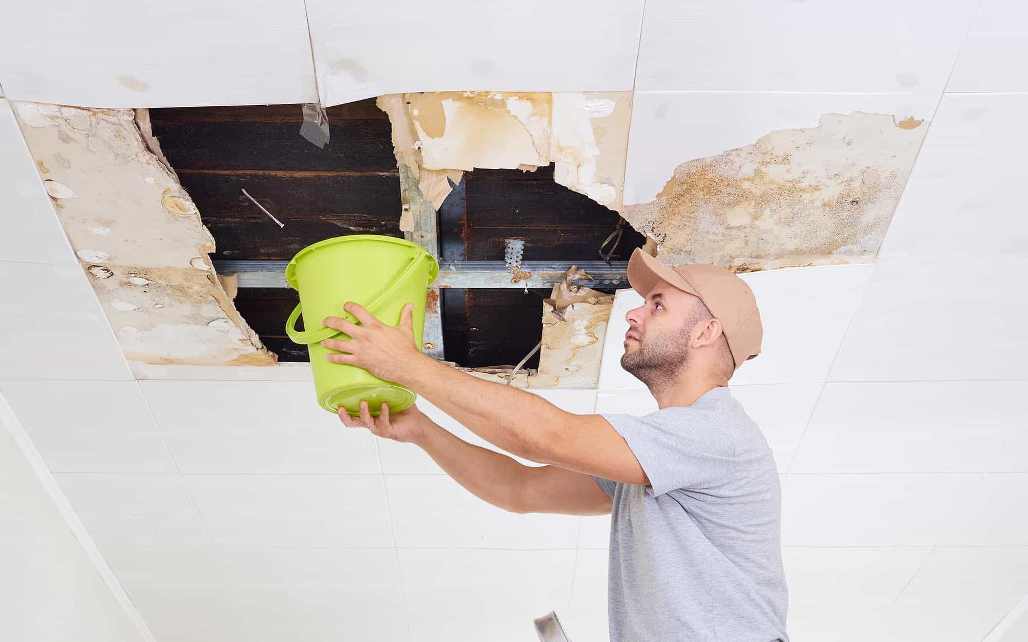 Person holding bucket to roof leak