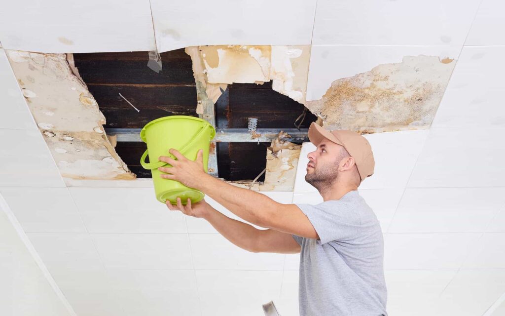 Person Holding Bucket To Roof Leak