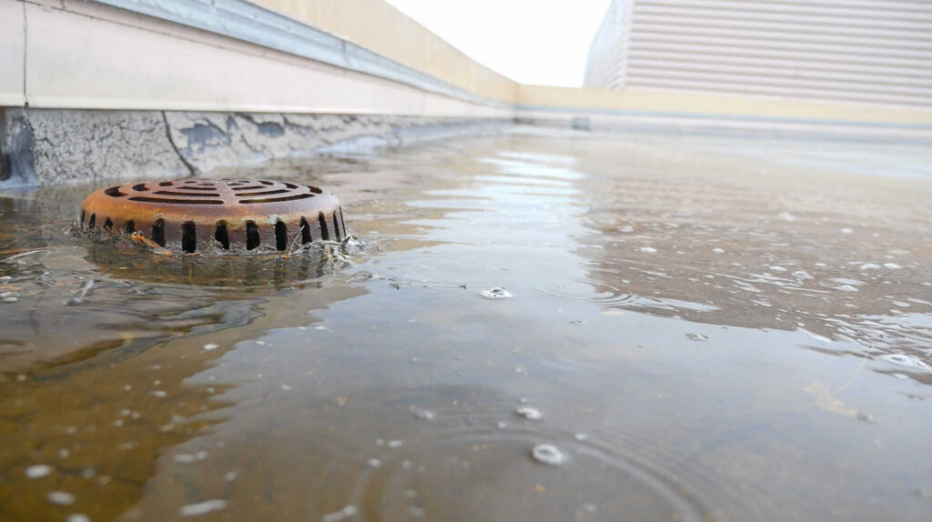 Commercial Roof Drain