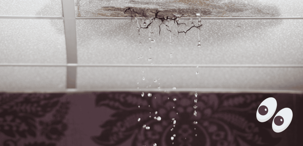Commercial Roof Maintenance To Avoid Spooky Leaks And Cracks